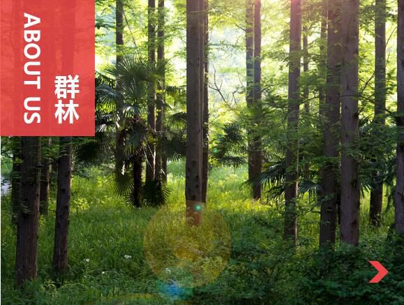 什么叫刨花板？